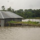 Bangla Flood