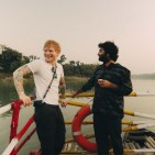 Ed Shereen