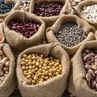 Assorted legumes in burlap sacks in a row as a full frame background