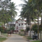 Mysore_street_with_cow