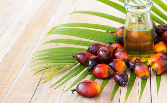Palm oil products banned in Iceland image