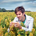 Shropshire Farmer Stephen Jones Quinoa grower