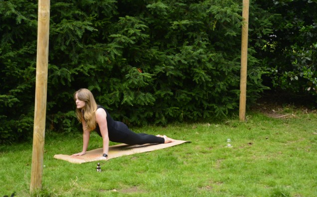 Yoga in the Park