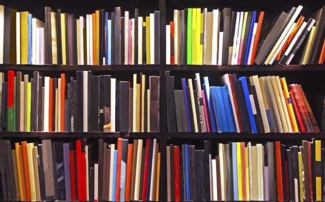 bookcase_iStock_000013569128Medium