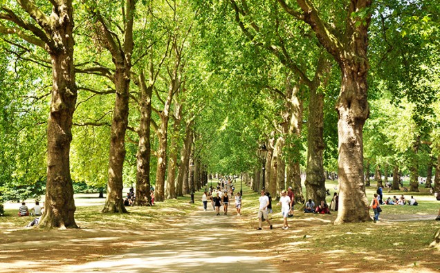 green-park