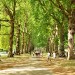 green-park