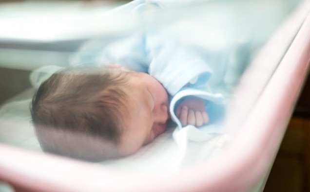 Newborn Baby Sleeping In Hospital Bassinet