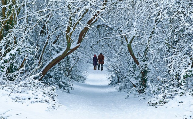 landscape-1479129881-snow-walk