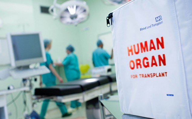 Human organ delivered to theatre in transport bag