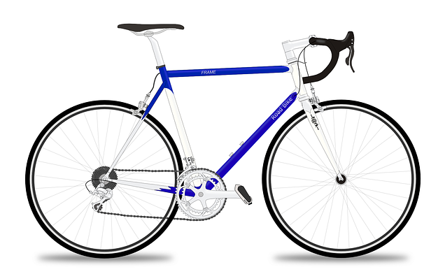 racing-bicycle-g1161dbab6_640