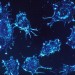 s300_cancer_cells_blue