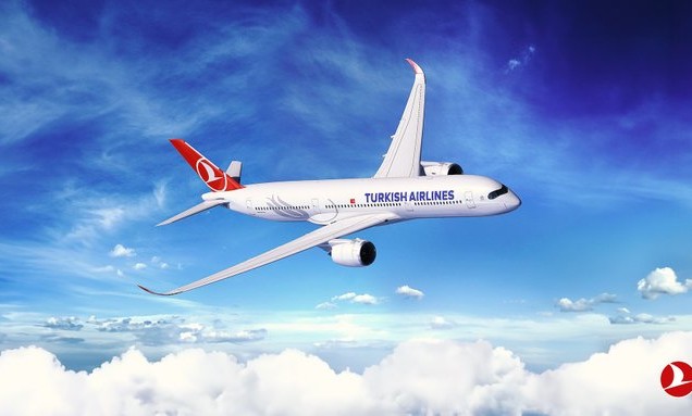 turkish airlines.jfif